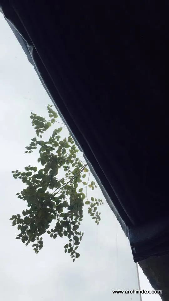 MY HOUSE (kiến trúc, Hà Nội), Archiindex thiết kế, ảnh 5