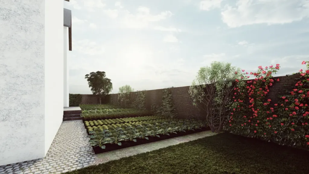 Luống rau và tường hoa hồng leo dọc lối đá, sân vườn Cổ Đông Villa Sơn Tây, thiết kế Archiindex